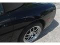 2002 Black Chevrolet Corvette Convertible  photo #15