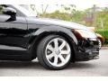 Brilliant Black - TT 3.2 quattro Roadster Photo No. 9