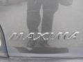 Gray Lustre Metallic - Maxima SE Photo No. 9
