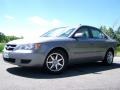 Steel Gray - Sonata GLS V6 Photo No. 5
