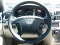 Steel Gray - Sonata GLS V6 Photo No. 19