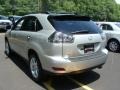 Tungsten Pearl - RX 350 AWD Photo No. 4