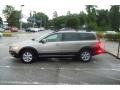 Seashell Metallic - XC70 AWD Photo No. 7