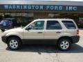 2007 Dune Pearl Metallic Ford Escape XLT V6 4WD  photo #1