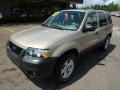 2007 Dune Pearl Metallic Ford Escape XLT V6 4WD  photo #8