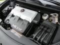 Gold Mist - SRX V6 Photo No. 16