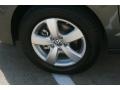 Meteor Gray Metallic - Routan SE Photo No. 11