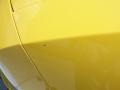 Top Banana Yellow - Charger R/T Daytona Photo No. 14