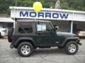 Shale Green Metallic 2003 Jeep Wrangler Rubicon 4x4