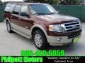 Dark Copper Metallic 2007 Ford Expedition EL Eddie Bauer