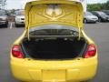 Solar Yellow - Neon SXT Photo No. 25