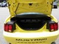 2003 Zinc Yellow Ford Mustang GT Coupe  photo #10