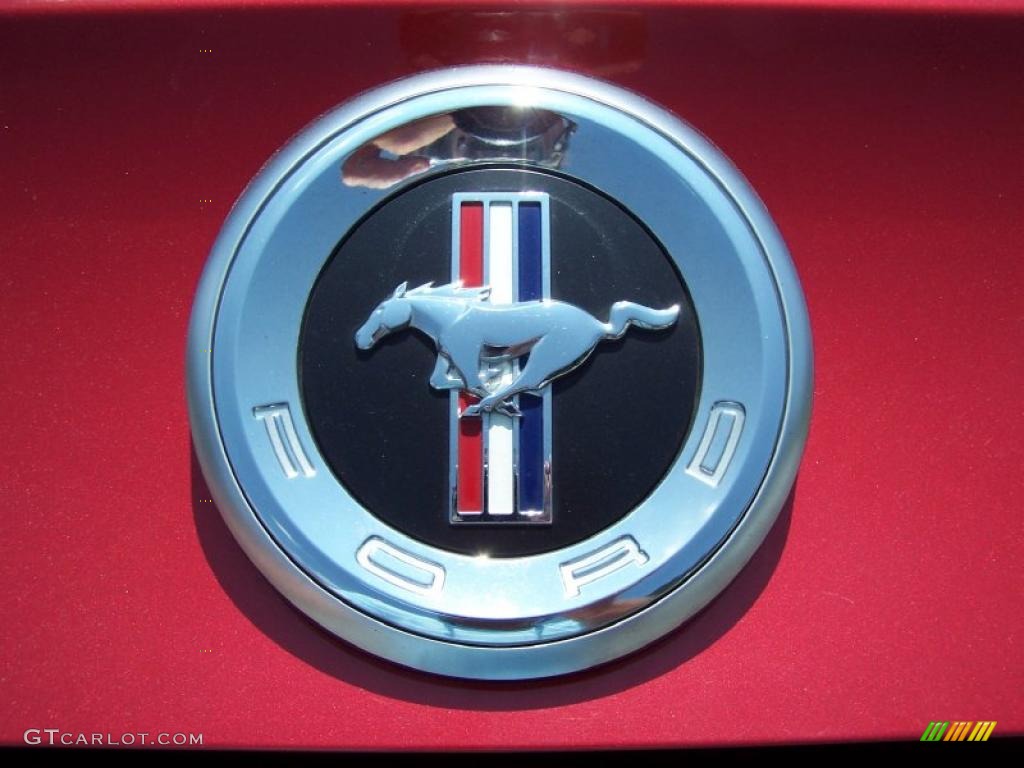 2010 Mustang V6 Premium Convertible - Red Candy Metallic / Stone photo #13