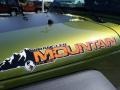 2010 Rescue Green Metallic Jeep Wrangler Unlimited Mountain Edition 4x4  photo #5