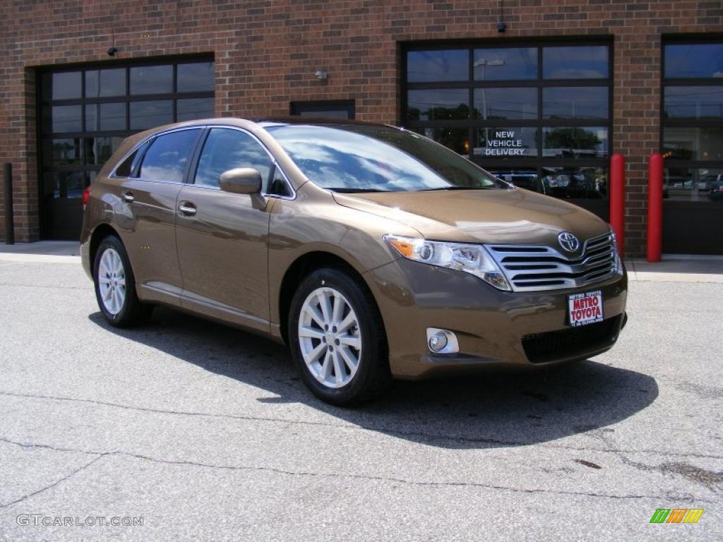 2010 Venza I4 - Golden Umber Mica / Ivory photo #1