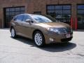 2010 Golden Umber Mica Toyota Venza I4  photo #1