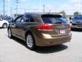 2010 Golden Umber Mica Toyota Venza I4  photo #3