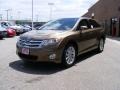 2010 Golden Umber Mica Toyota Venza I4  photo #4