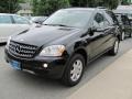 Black - ML 350 4Matic Photo No. 2