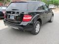 Black - ML 350 4Matic Photo No. 5