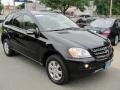 Black - ML 350 4Matic Photo No. 6