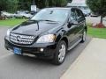 Black - ML 350 4Matic Photo No. 2