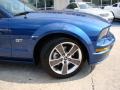 2008 Vista Blue Metallic Ford Mustang GT Premium Coupe  photo #30