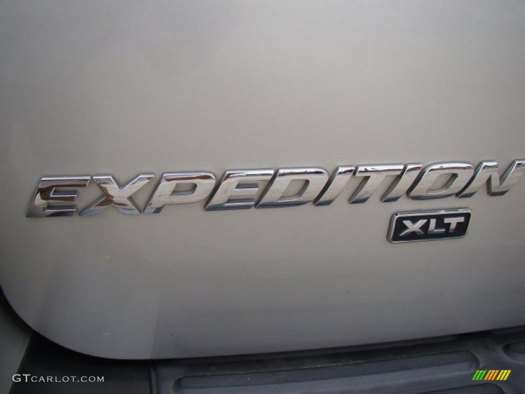 2004 Expedition XLT - Silver Birch Metallic / Medium Flint Gray photo #36