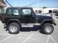 Black - Wrangler SE 4x4 Photo No. 10