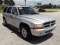 Bright Silver Metallic - Durango SLT Photo No. 11