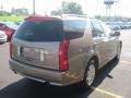 2007 Radiant Bronze Cadillac SRX V6  photo #6