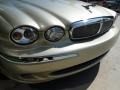 2007 Winter Gold Metallic Jaguar X-Type 3.0  photo #8