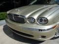 2007 Winter Gold Metallic Jaguar X-Type 3.0  photo #9