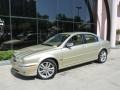 2007 Winter Gold Metallic Jaguar X-Type 3.0  photo #10