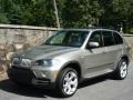 2007 Platinum Bronze Metallic BMW X5 4.8i  photo #2