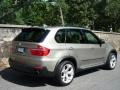 Platinum Bronze Metallic - X5 4.8i Photo No. 3