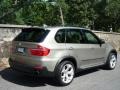 2007 Platinum Bronze Metallic BMW X5 4.8i  photo #3