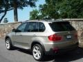 2007 Platinum Bronze Metallic BMW X5 4.8i  photo #4