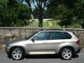 2007 Platinum Bronze Metallic BMW X5 4.8i  photo #13