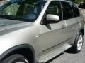 Platinum Bronze Metallic - X5 4.8i Photo No. 15