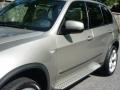 2007 Platinum Bronze Metallic BMW X5 4.8i  photo #15