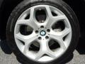 Platinum Bronze Metallic - X5 4.8i Photo No. 22