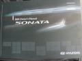 Bright Silver - Sonata GLS Photo No. 17
