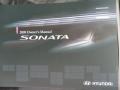 Willow Gray - Sonata GLS Photo No. 14