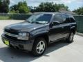 Graphite Metallic - TrailBlazer LS Photo No. 7