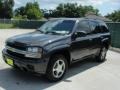 2007 Graphite Metallic Chevrolet TrailBlazer LS  photo #7