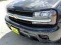 2007 Graphite Metallic Chevrolet TrailBlazer LS  photo #11