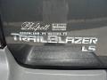 2007 Graphite Metallic Chevrolet TrailBlazer LS  photo #19