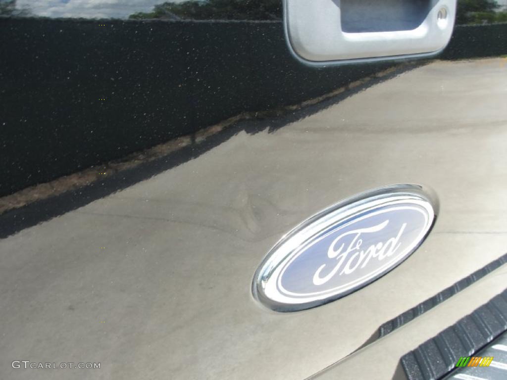 2004 F150 XL Regular Cab - Black / Dark Flint photo #23