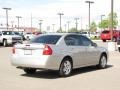 2006 Silverstone Metallic Chevrolet Malibu LT V6 Sedan  photo #3